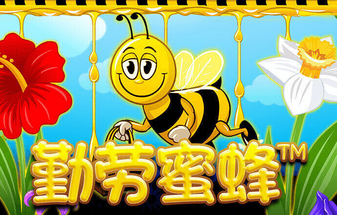 金年汇app官方金年会